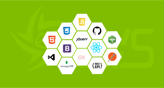 Full Stack Web Developer Course in Lahore Pakistan & Online